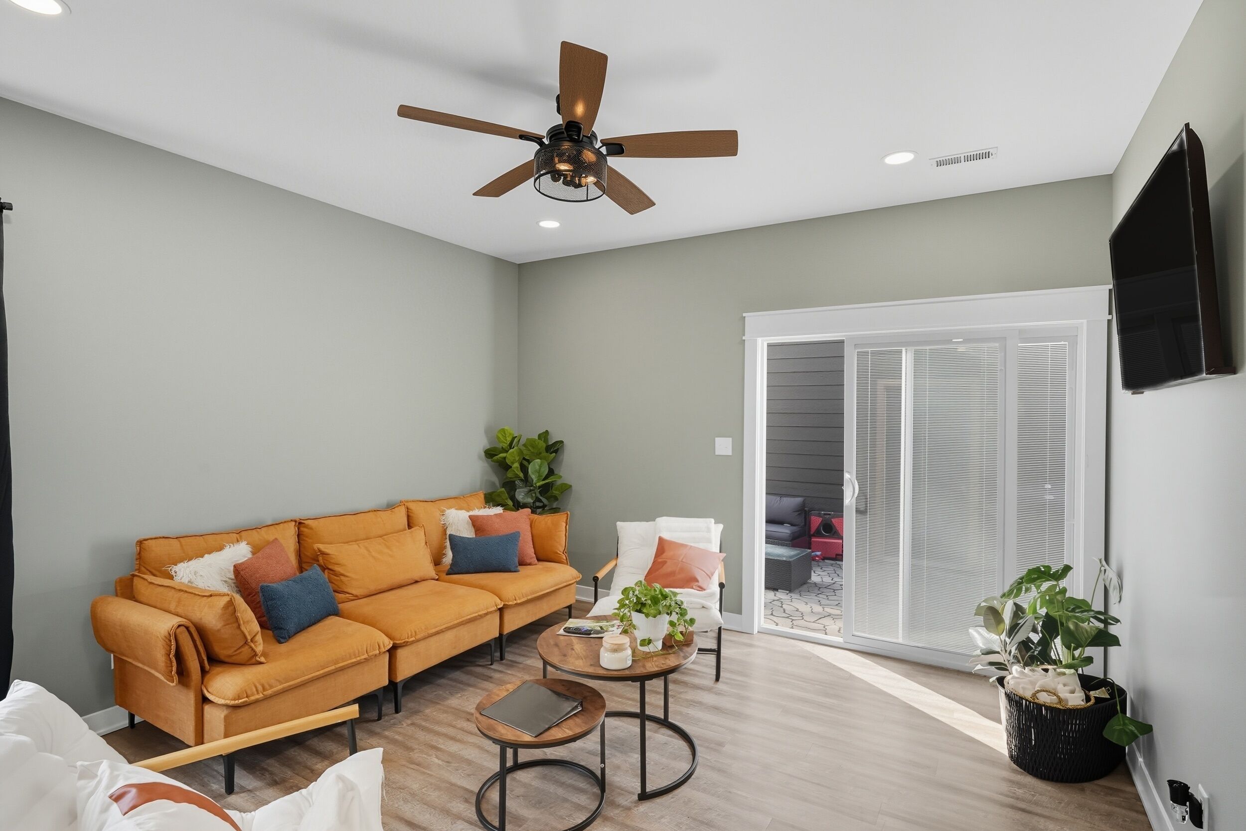 智能电视、打印机