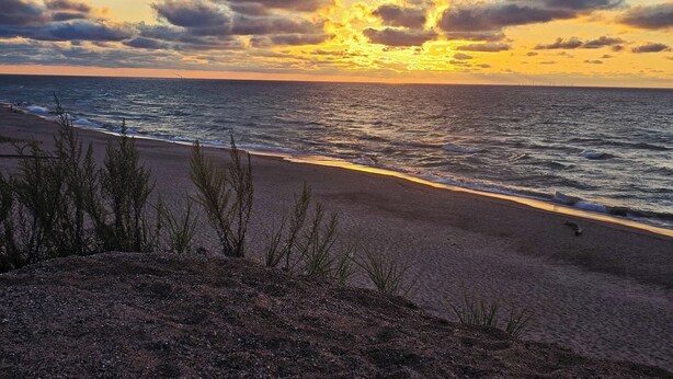 Une plage au coucher du soleil, avec des vagues et une végétation clairsemée.