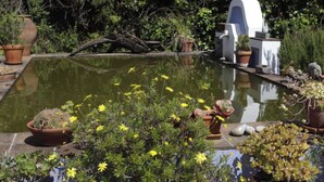 A garden with a pond, potted plants, and a white structure. - Sintra Farm Villa Guest House (Sintra)
