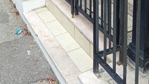 A covered outdoor area with a black metal fence, a white column, and potted plants. - albergo Atene (Riccione)