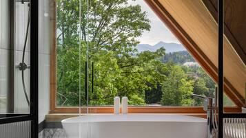 Deluxe Apartment, Mountain View | Interior