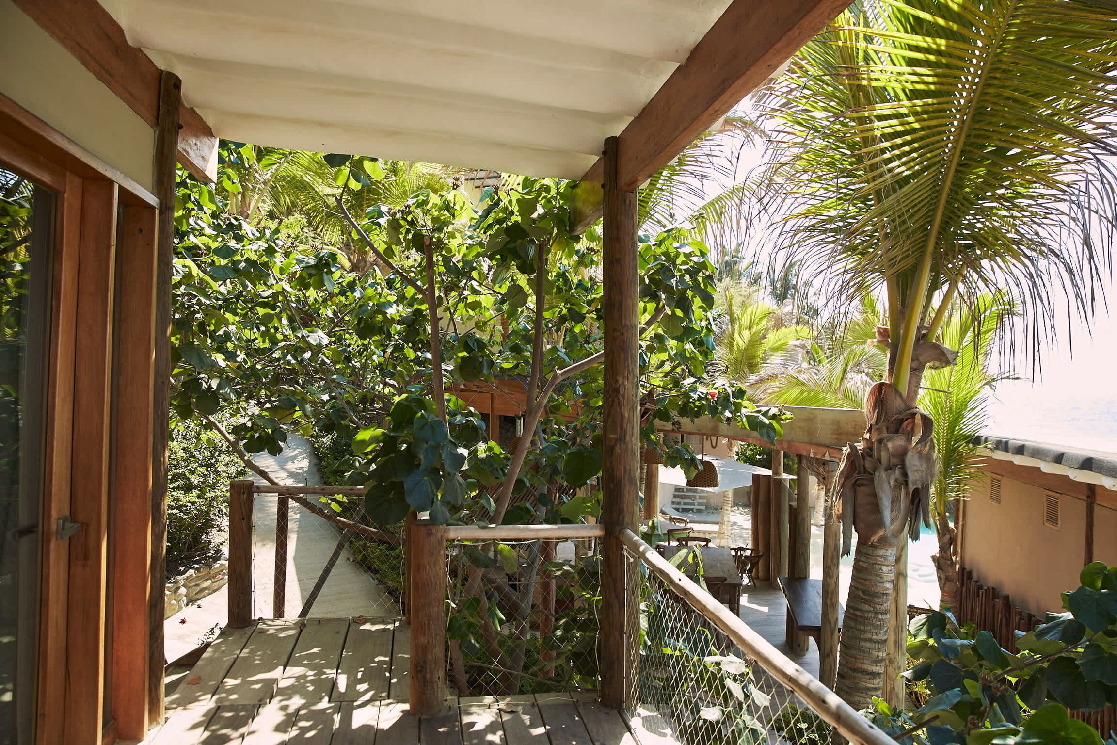 Une terrasse en bois, délimitée par une barrière en corde, entourée d’une végétation luxuriante et d’un palmier.