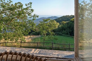 Property grounds - Apartment with sea view and shared garden (Castiglione Chiavarese)