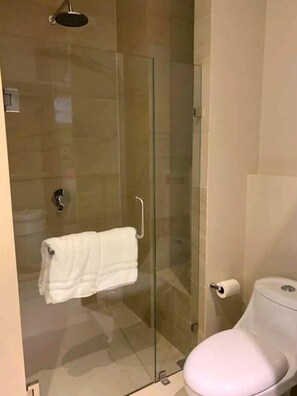 Shower, hair dryer, towels