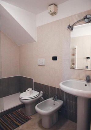 Regadera, secadora de cabello, bidet, toallas 