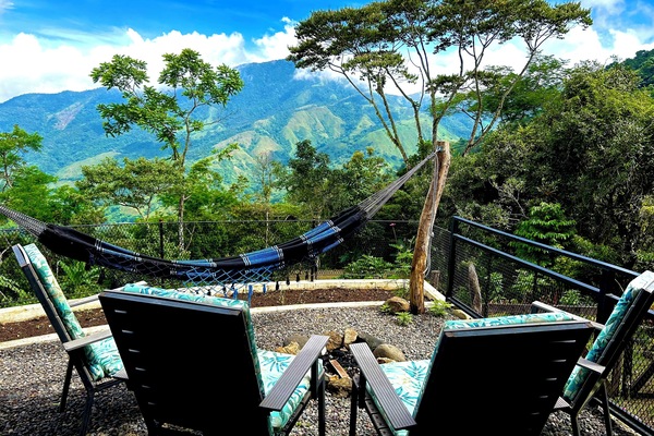 View from the terrace