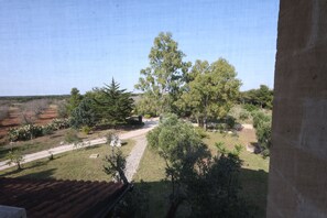 Vista desde la habitación