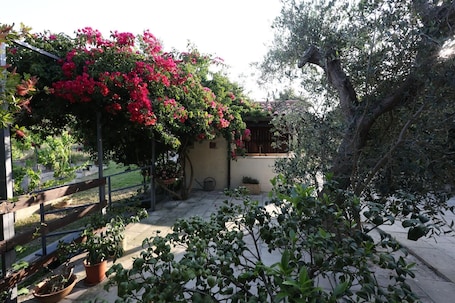 Área de parrilladas y picnic