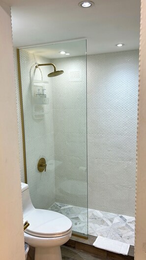 Hair dryer, towels, soap, toilet paper - Ocean View Apartment in Condado (San Juan)