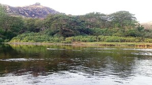 Miscellaneous - Room-oasis in Tonge, Fiji - Relaxing Roo (Ba)