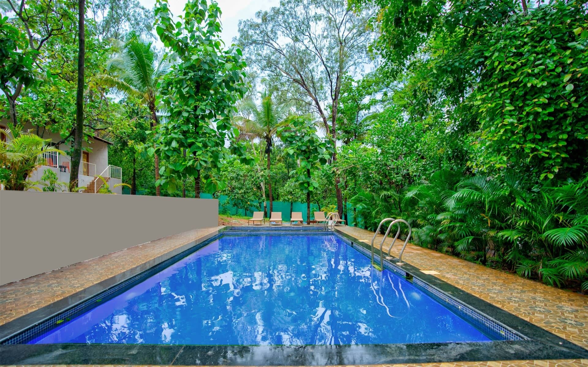 A rectangular swimming pool with clear blue water, surrounded by lush greenery and trees.