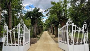 A pathway flanked by ornate white gates leading into a wooded area.