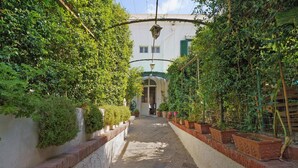 Un estrecho sendero de piedra bordeado de exuberante vegetación y plantas en macetas, que conduce a un edificio con techo verde y entrada en arco.