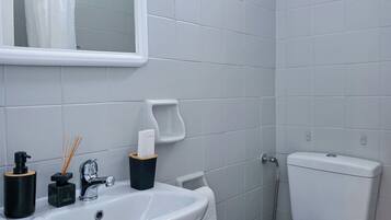 Hair dryer, towels, soap, toilet paper