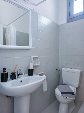 Hair dryer, towels, soap, toilet paper