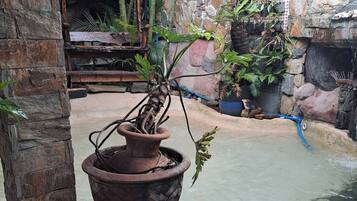Casa, 5 quartos, para fumantes, piscina particular | Área da propriedade