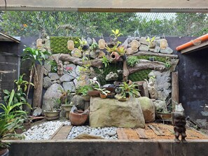 House, 4 Bedrooms, Smoking, Private Pool | Garden