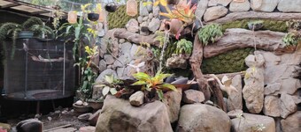 Tribal Bliss Private Resort in Lipa Bata