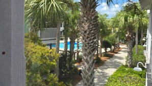 Blick durch ein Fenster auf eine Palme, einen Pool und ein Gebäude mit flachem Dach.