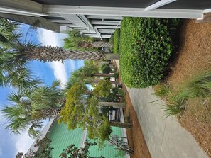 Huis, meerdere bedden (Barefoot Cottage B37 - The B's Knees) | Terrein van de accommodatie