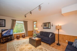 Televisión, chimenea