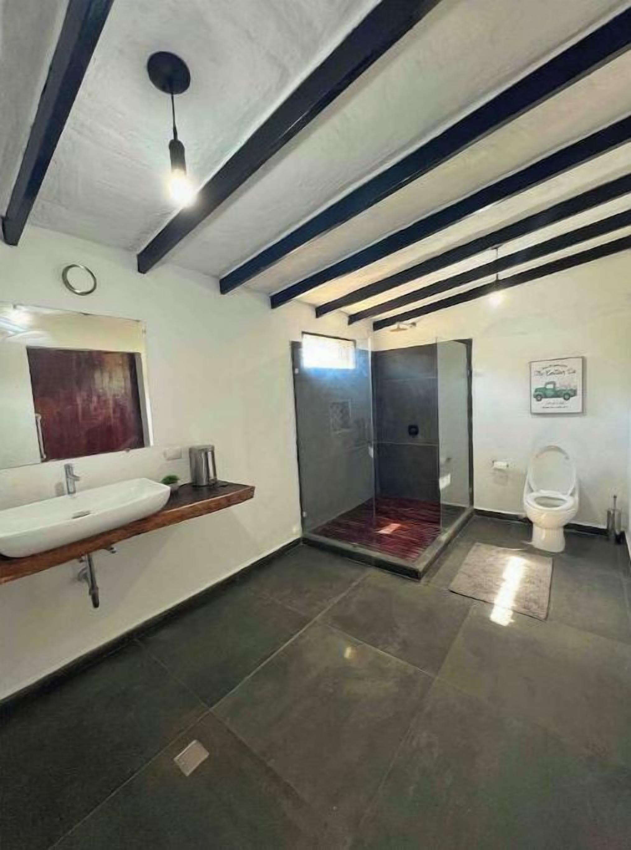 A modern bathroom with a large sink, a mirror, a shower, and a toilet.