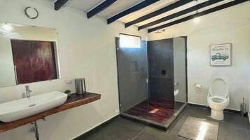 A modern bathroom with a large sink, a mirror, a shower, and a toilet.