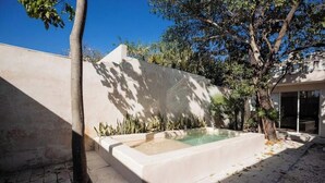 A modern outdoor pool area with a concrete edge, surrounded by a low wall and various plants. - Colonial House Pool + parking (Mérida)