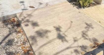 Spacious and cozy apartment with garden