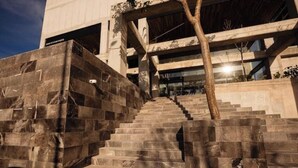 A staircase leading to a building entrance with a tree in the middle.