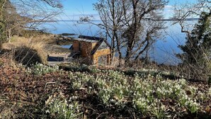 En rustik hytte ved en sø med en træterrasse og en trappe, der fører til indgangen.