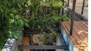 Un escalier extérieur moderne menant à une terrasse en bois, avec un jardin aménagé en contrebas.