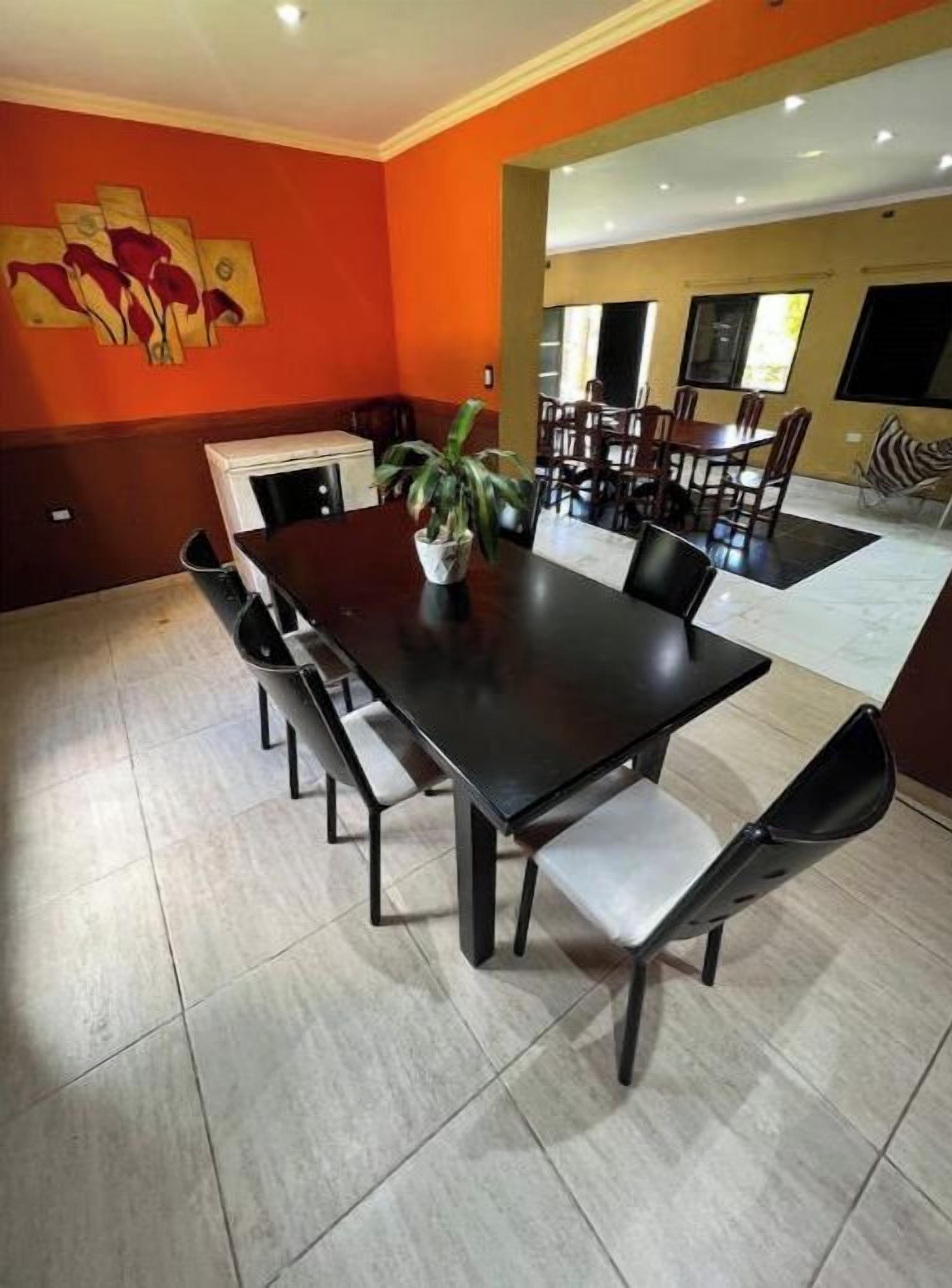 Un comedor con una mesa larga y varias sillas, una planta en maceta sobre la mesa y un cuadro en la pared.
