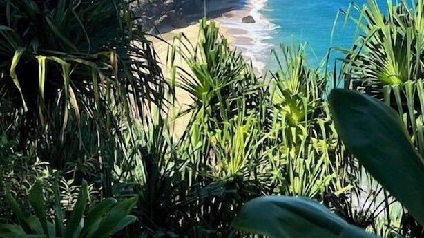 A coastal landscape with a beach, greenery, and a clear blue sky.