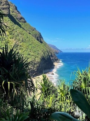 A coastal landscape with a beach, greenery, and a clear blue sky.