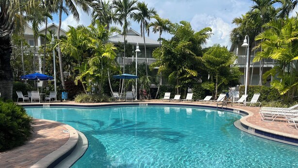 Une piscine aux eaux cristallines, dotée de chaises longues et bordée de palmiers.