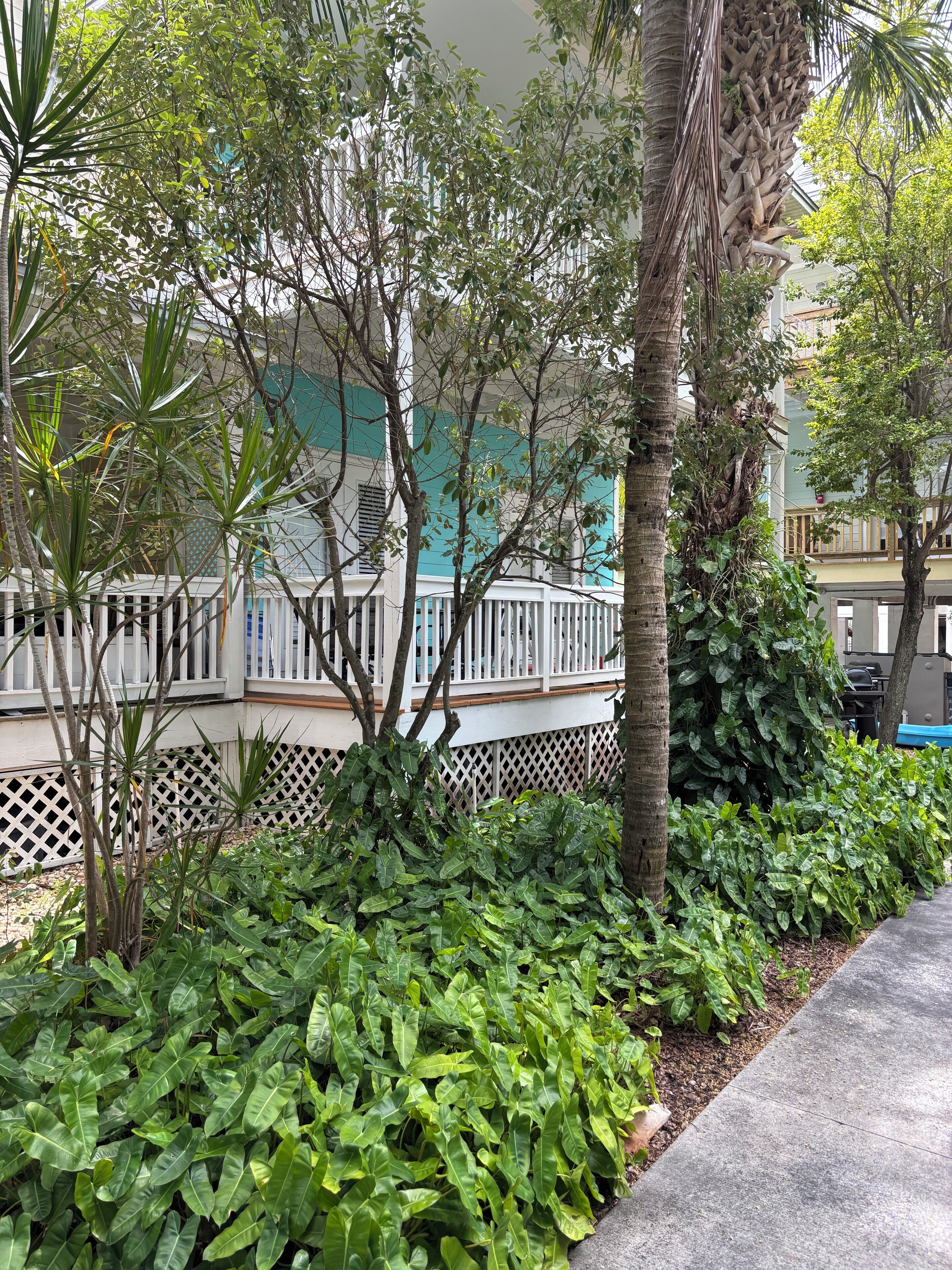 Overnattingsstedets uteområder