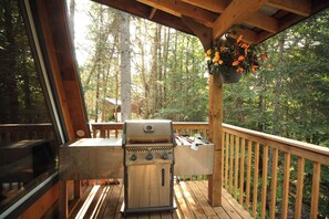 Property grounds - aframe in the woods. (Emsdale)