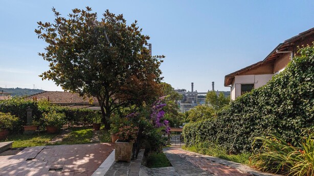Une cour pavée avec un arbre, une haie et un bâtiment en arrière-plan.