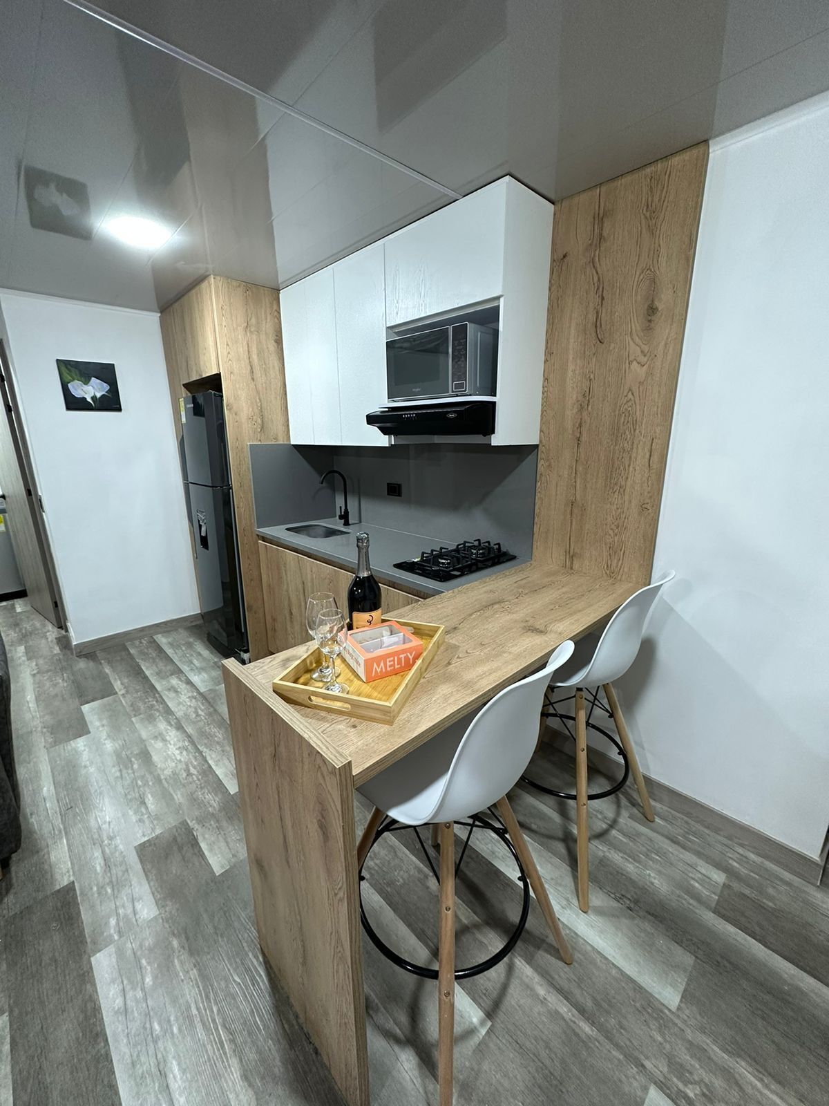 Microondas, placa de cocina, lavavajillas