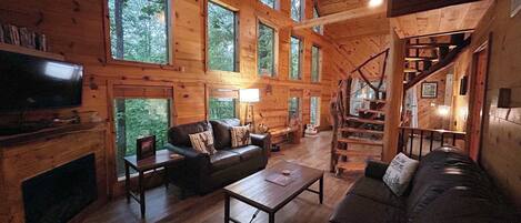 Televisión, chimenea, videojuegos