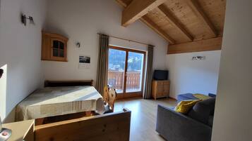 Fernseher, Tischtennisplatte