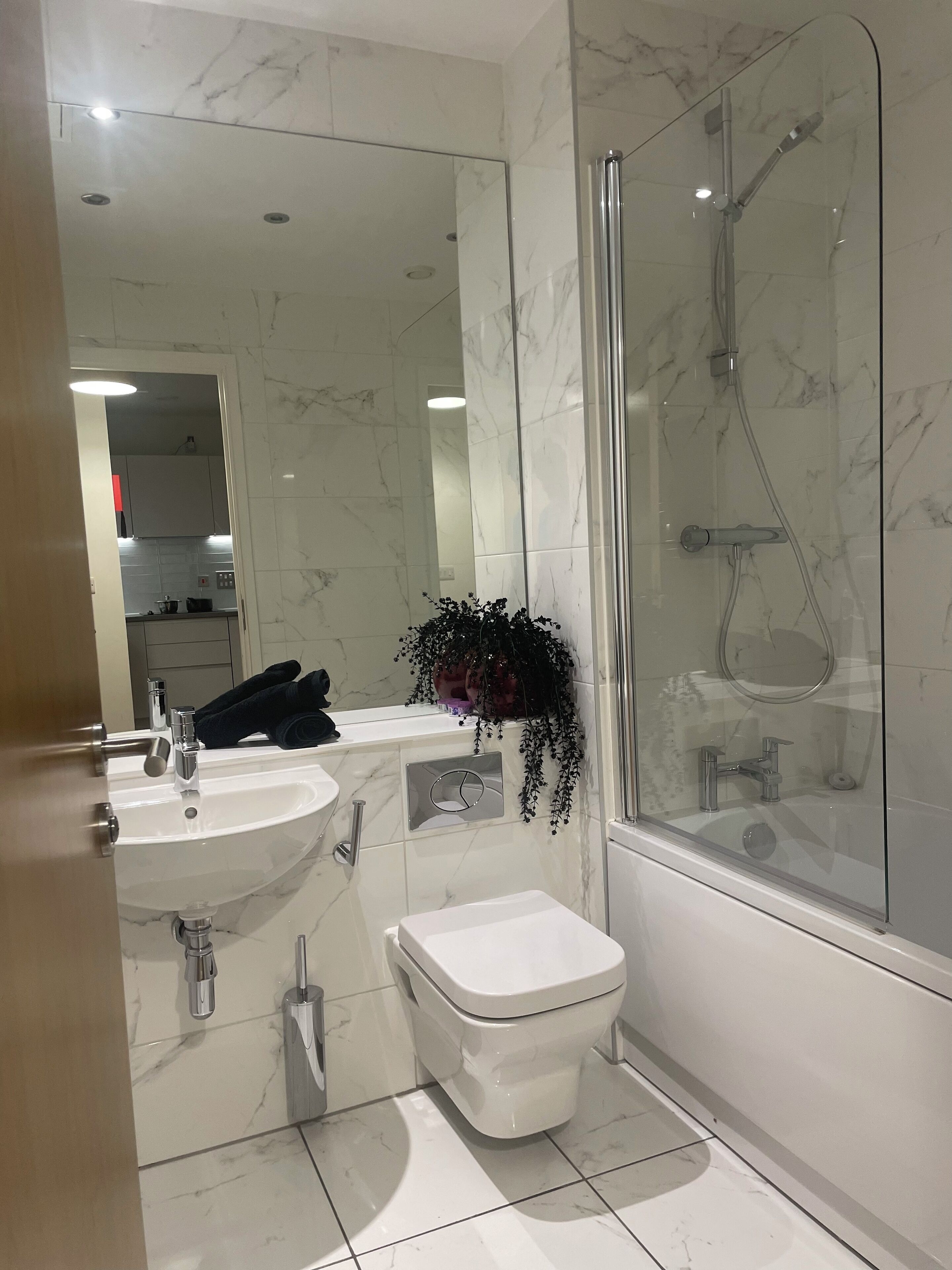 Hair dryer, towels, soap, toilet paper