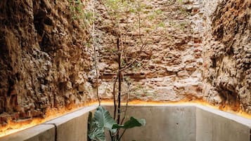 Habitación doble Deluxe, vista al patio | Área de sala de estar | Televisión LED, Netflix, bocina smart y servicios de streaming