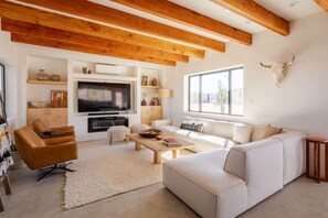 Smart TV, fireplace, books