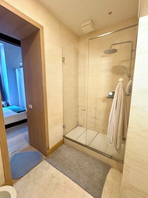 Shower, hair dryer, bidet, towels