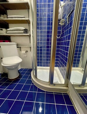 Hair dryer, towels, toilet paper