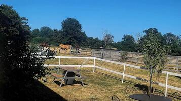 Opções para refeição ao ar livre