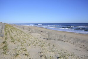Playa en los alrededores 