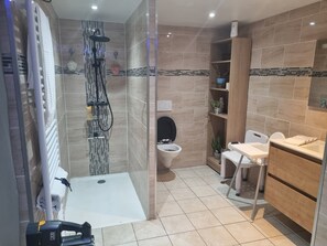 A modern bathroom with a glass-enclosed shower, a toilet, a sink, and a vanity with a mirror.
